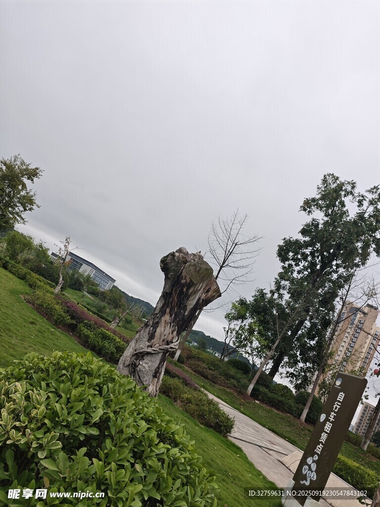 户外绿植景观