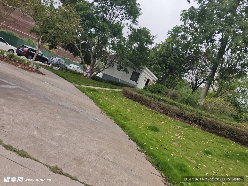 户外道路旁的绿植景观