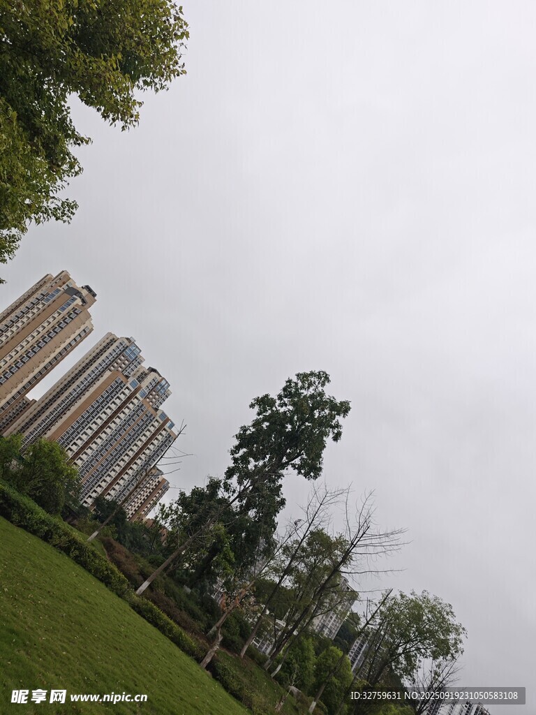 城市绿地旁的高楼景观