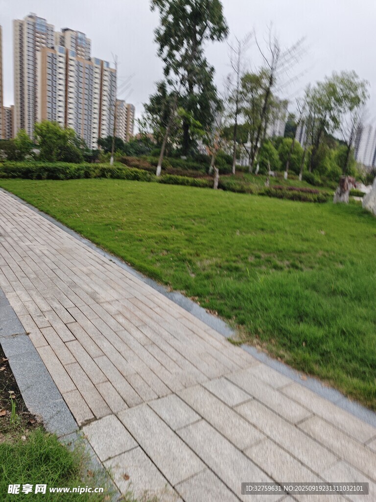 城市中的静谧绿地小径