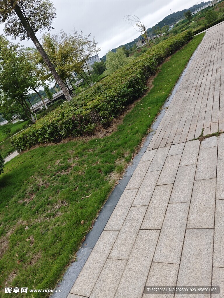 公园中整洁的砖石步道