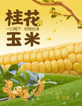 桂花玉米 杯贴 不干胶 贴纸