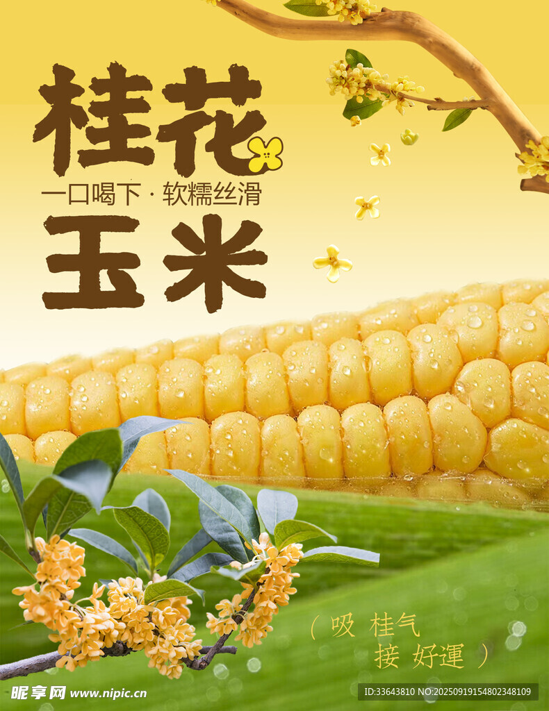 桂花玉米 杯贴 不干胶 贴纸
