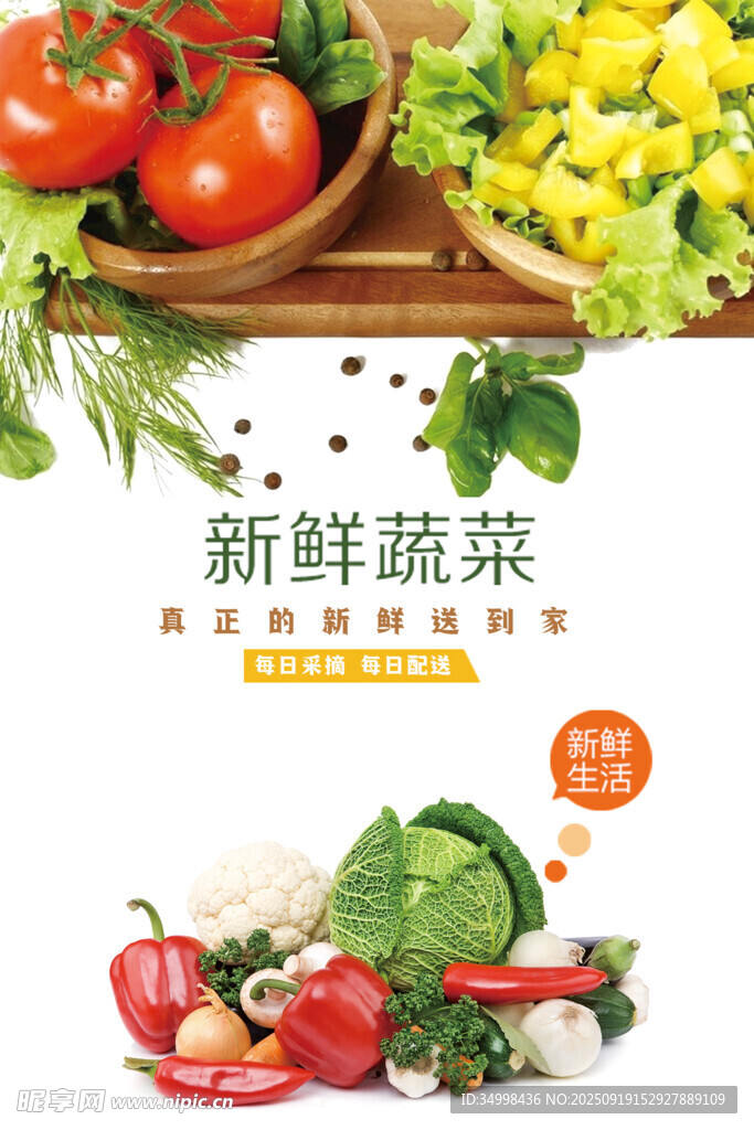 新鲜多样蔬菜展示