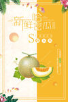 新鲜蜜瓜促销海报