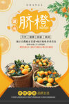 新鲜脐橙果香四溢诱人