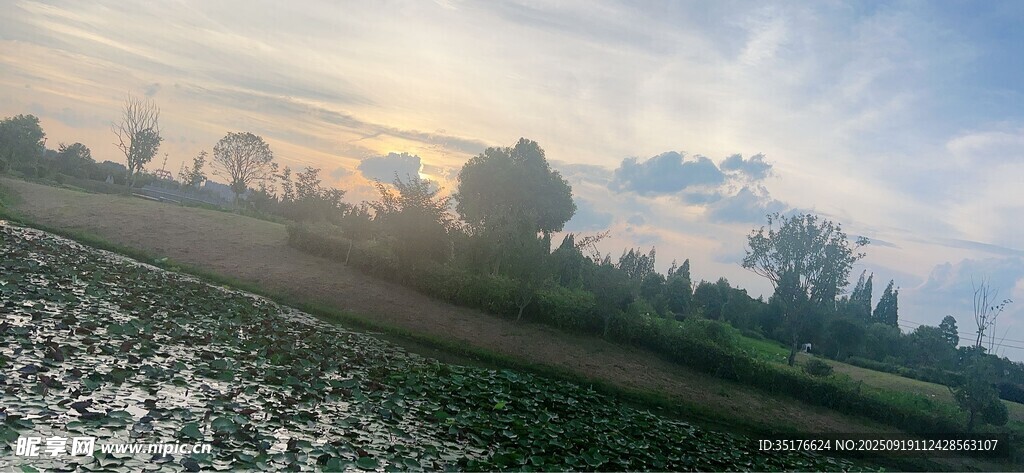 田野晨曦美景