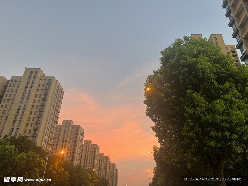 夕阳下的城市与绿树景观