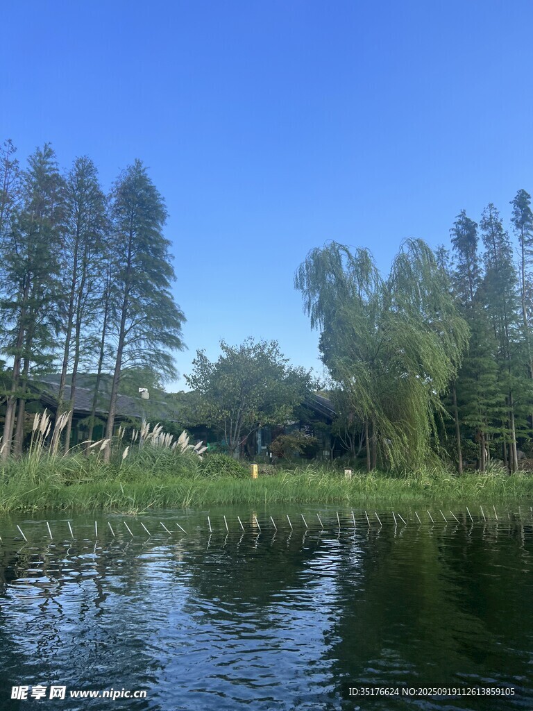 湖畔绿树成荫的静谧风光