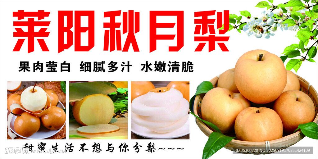 秋月梨
