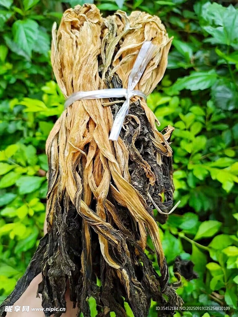 白菜干