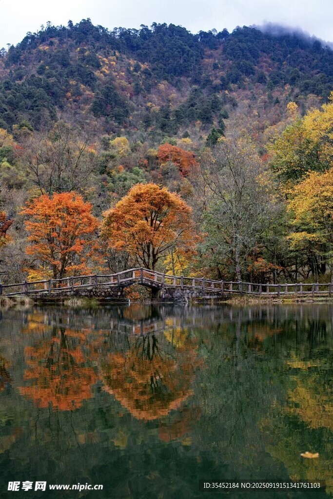 湖畔山林