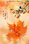 秋分