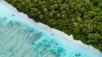 碧海绿林的海岛风光