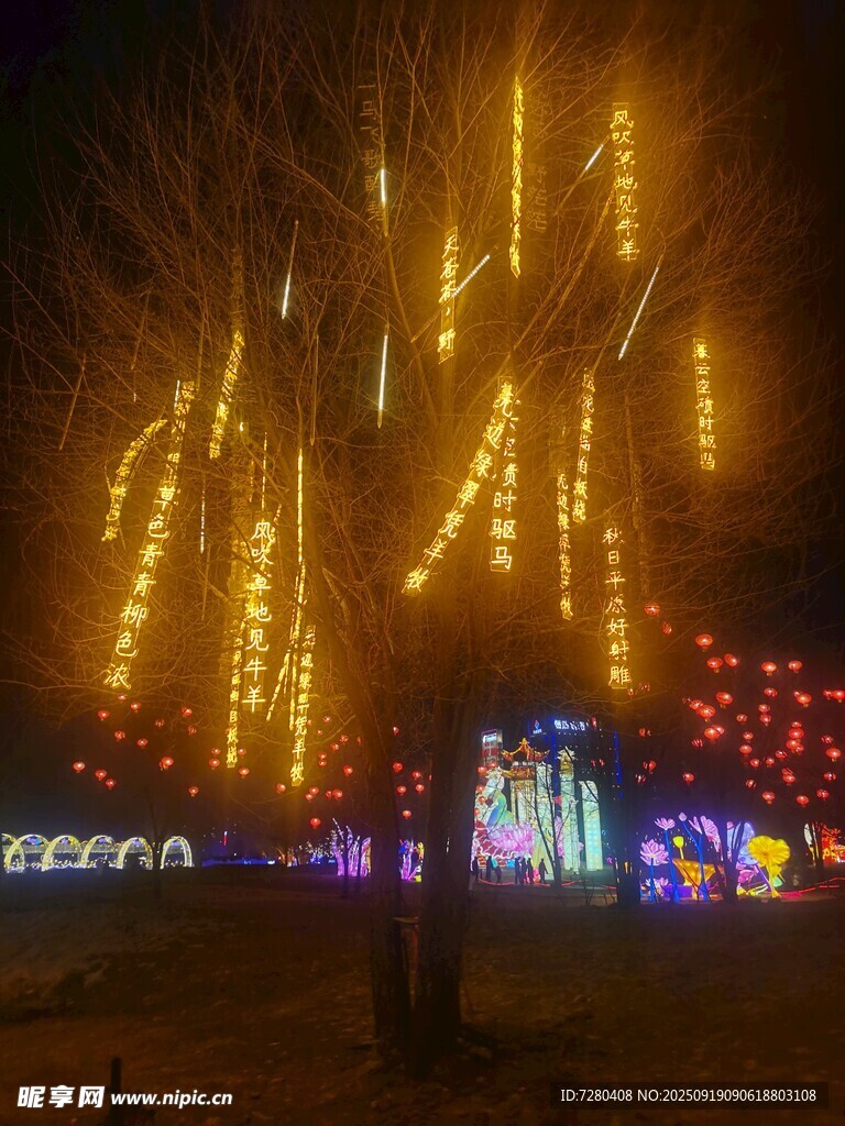 夜晚璀璨灯光装饰的树木