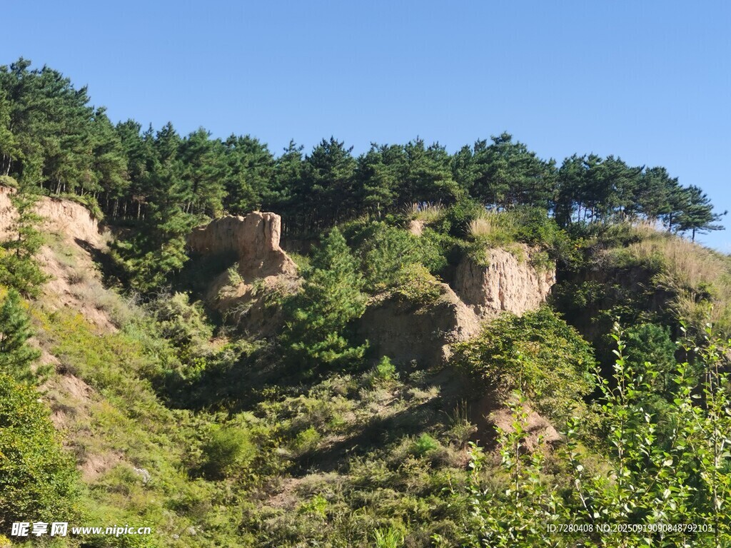 山坡绿植与土崖景观