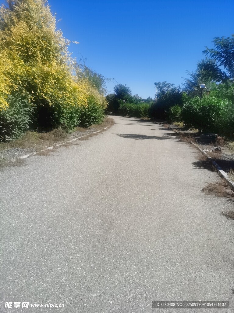 乡间空旷小路自然景致