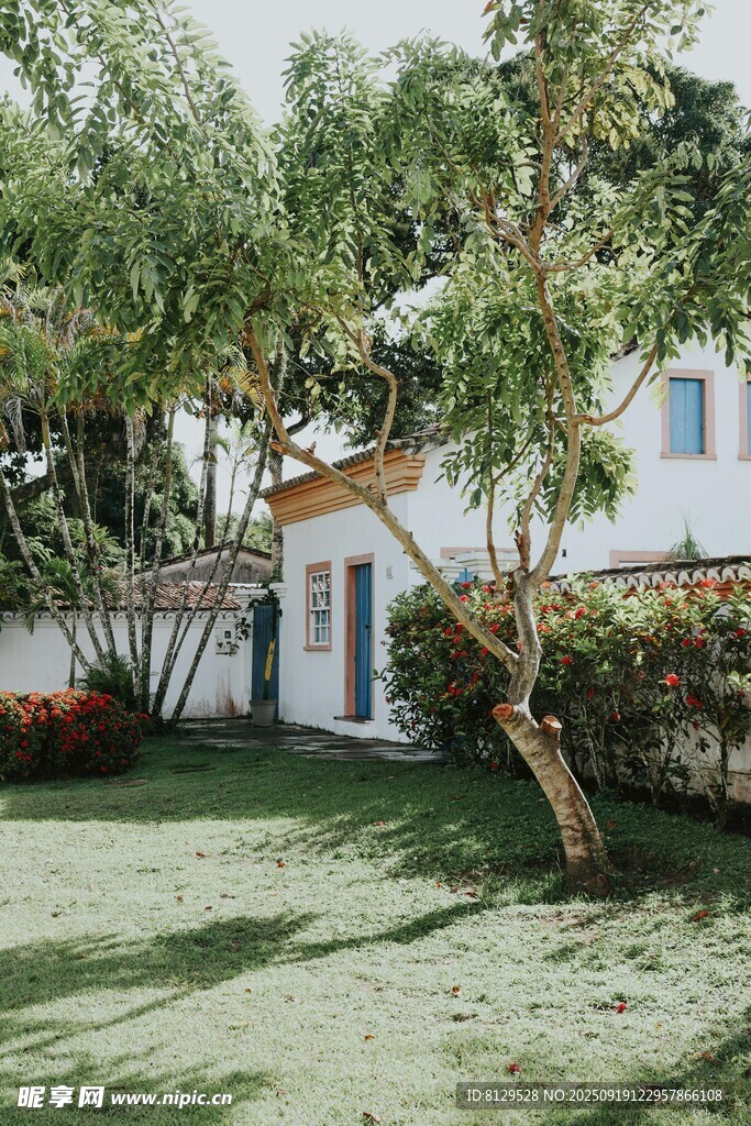 绿荫环绕的温馨小屋