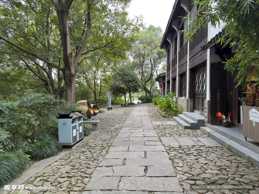 幽静庭院石板小径景致
