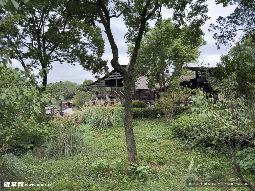 乡村林间小屋的自然景致