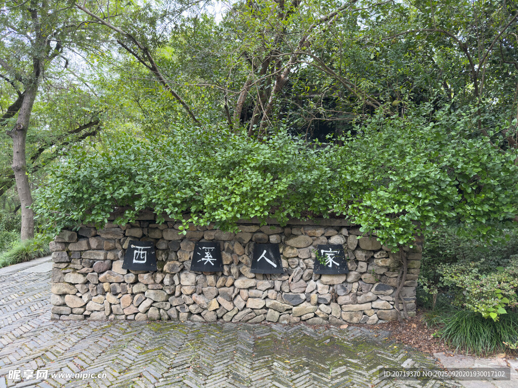 西溪湿地