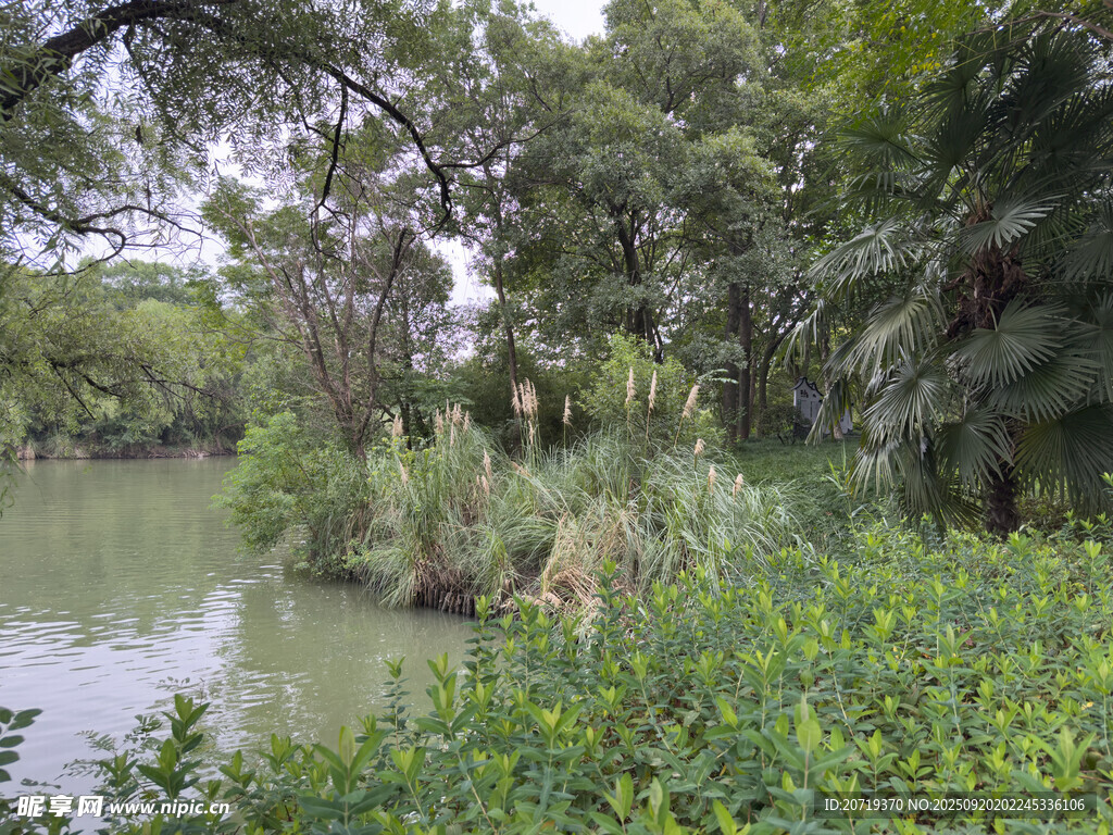 湖畔绿植环绕的自然景致