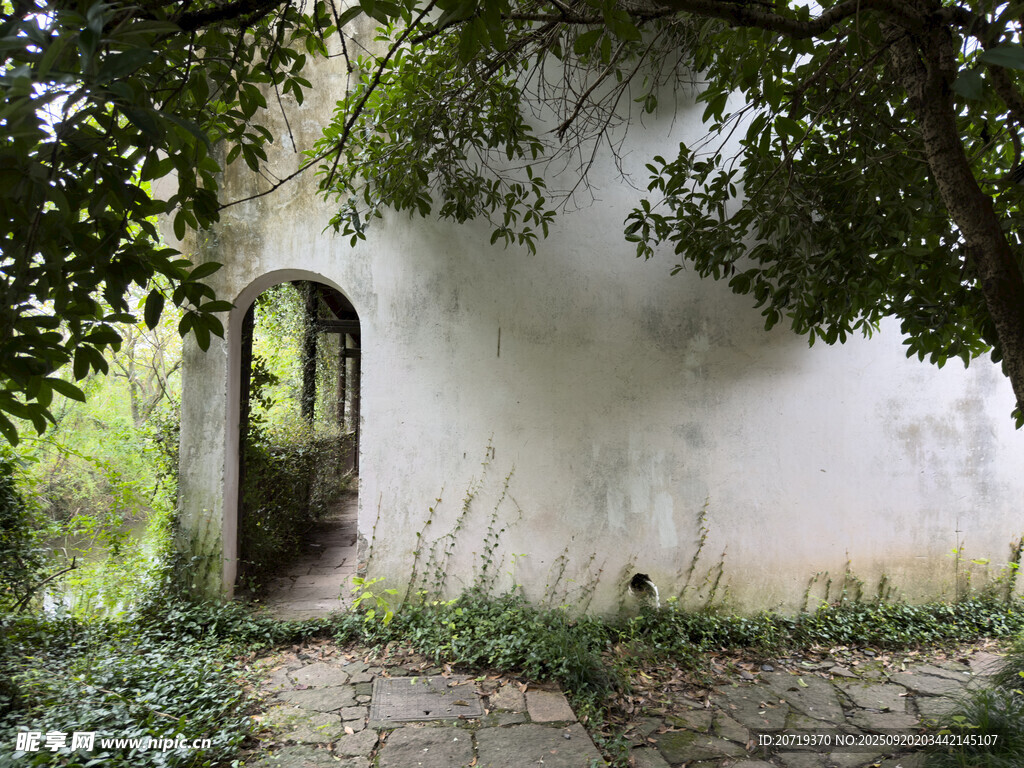 古朴白墙小屋的隐秘入口