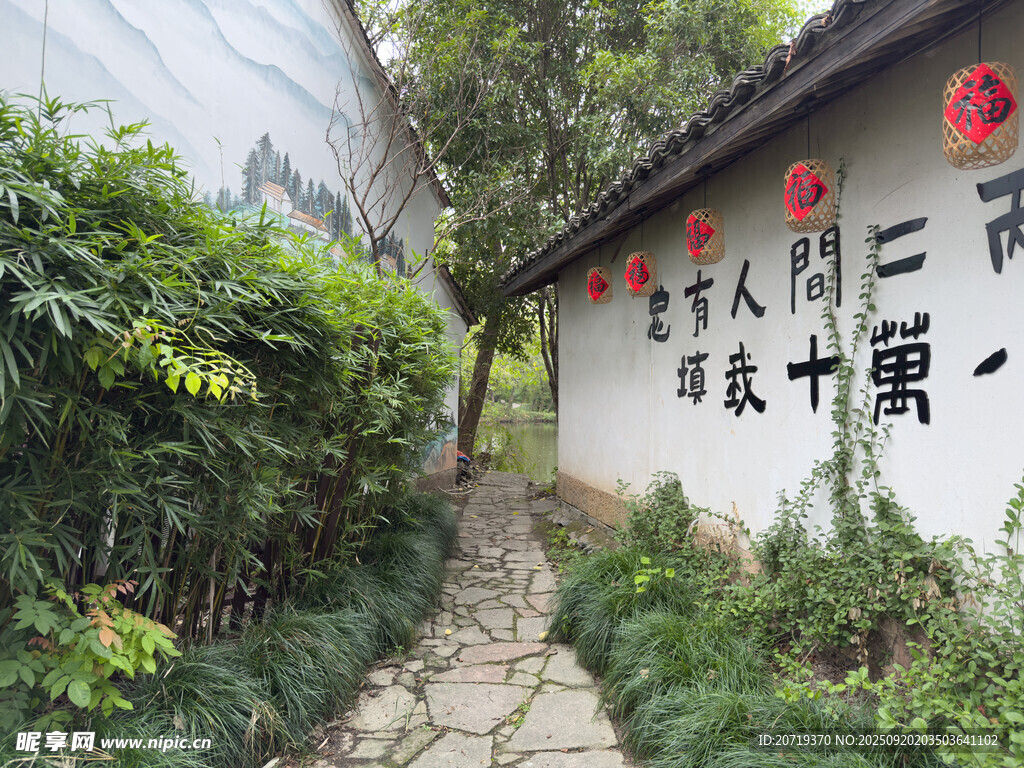 西溪湿地
