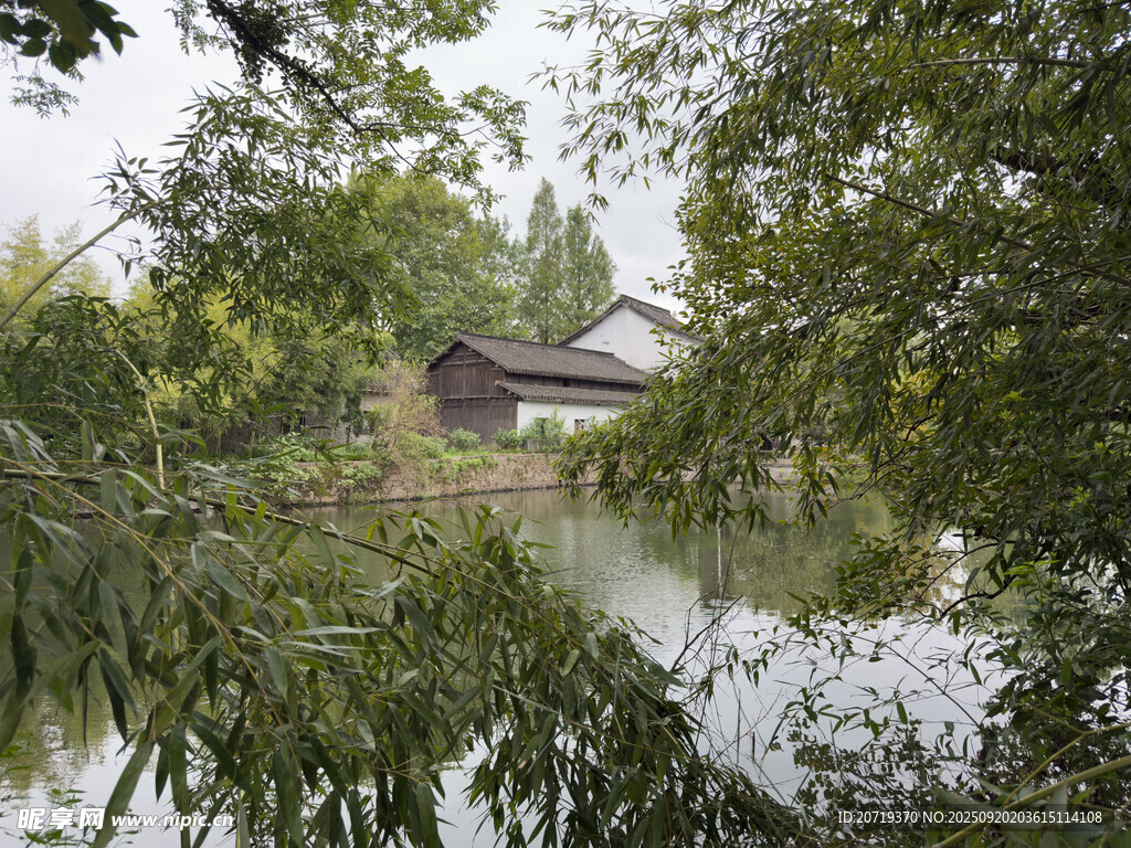 西溪湿地