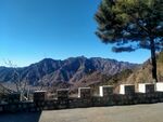 山间美景 孤树挺立长城