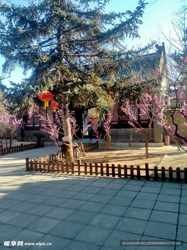 公园中式景观一角