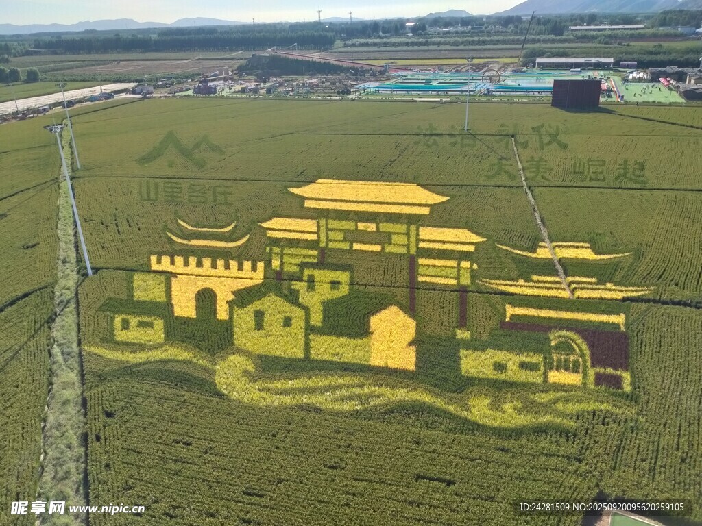 稻田中的精美古建筑图案 稻田画
