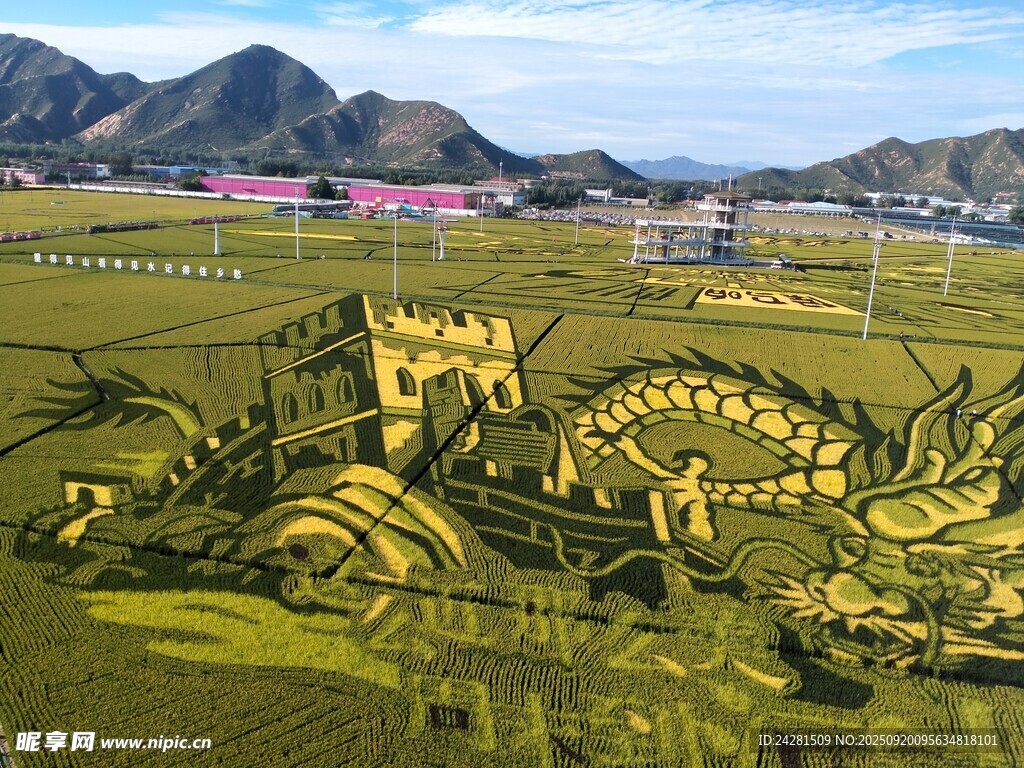 壮观艺术雕塑景观 稻田画