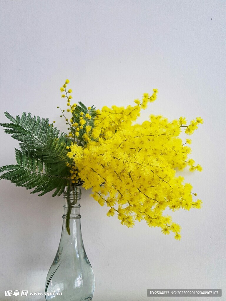 花瓶中的黄色含羞草花束