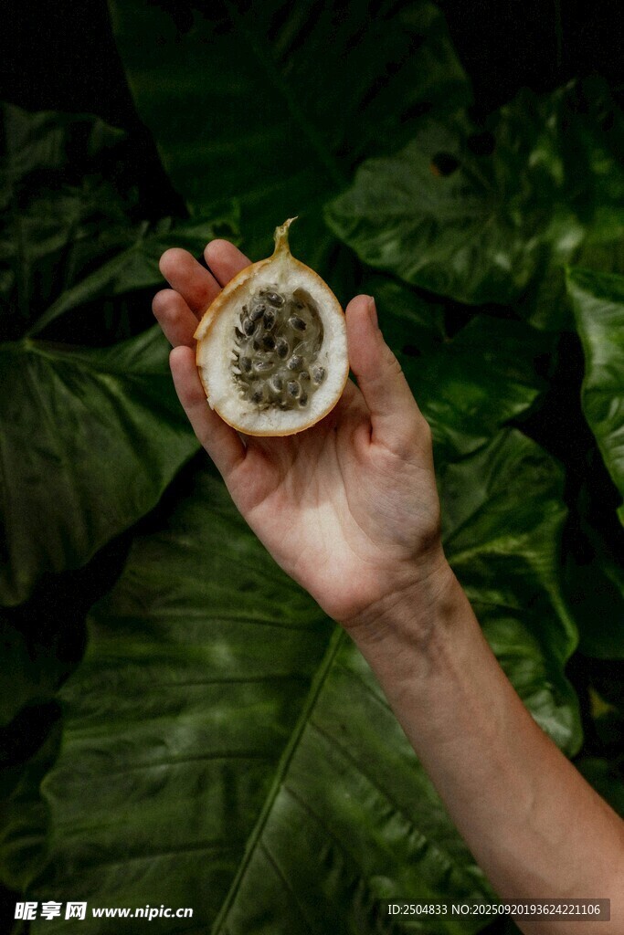手捧切开的百香果