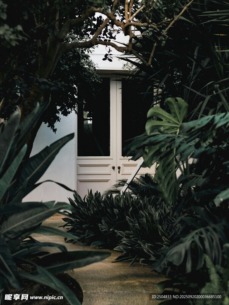 绿植环绕的白色小屋入口