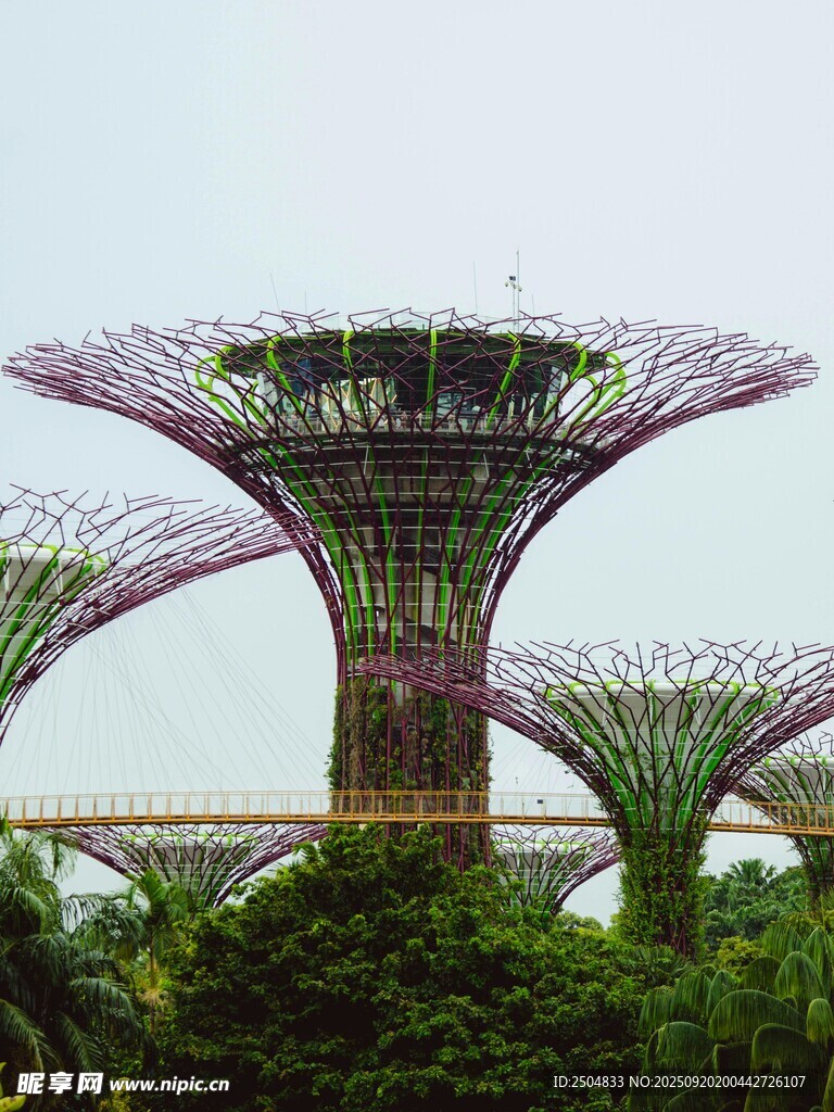 新加坡滨海湾超级树景观
