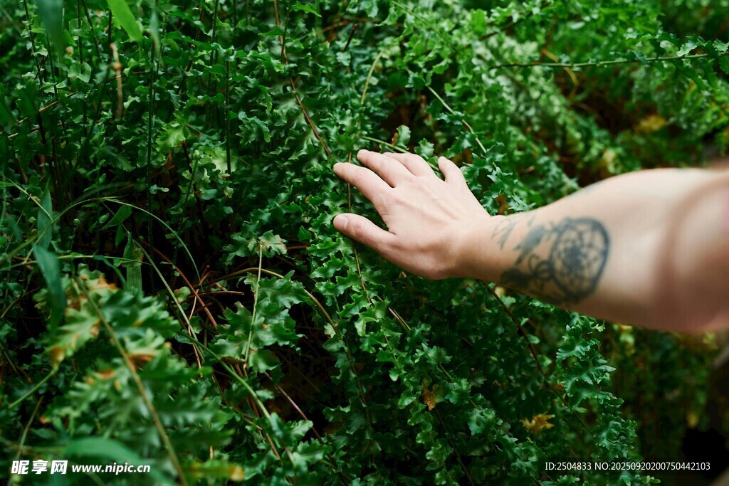 手触翠绿植物瞬间