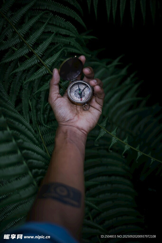 手持指南针于绿植背景中