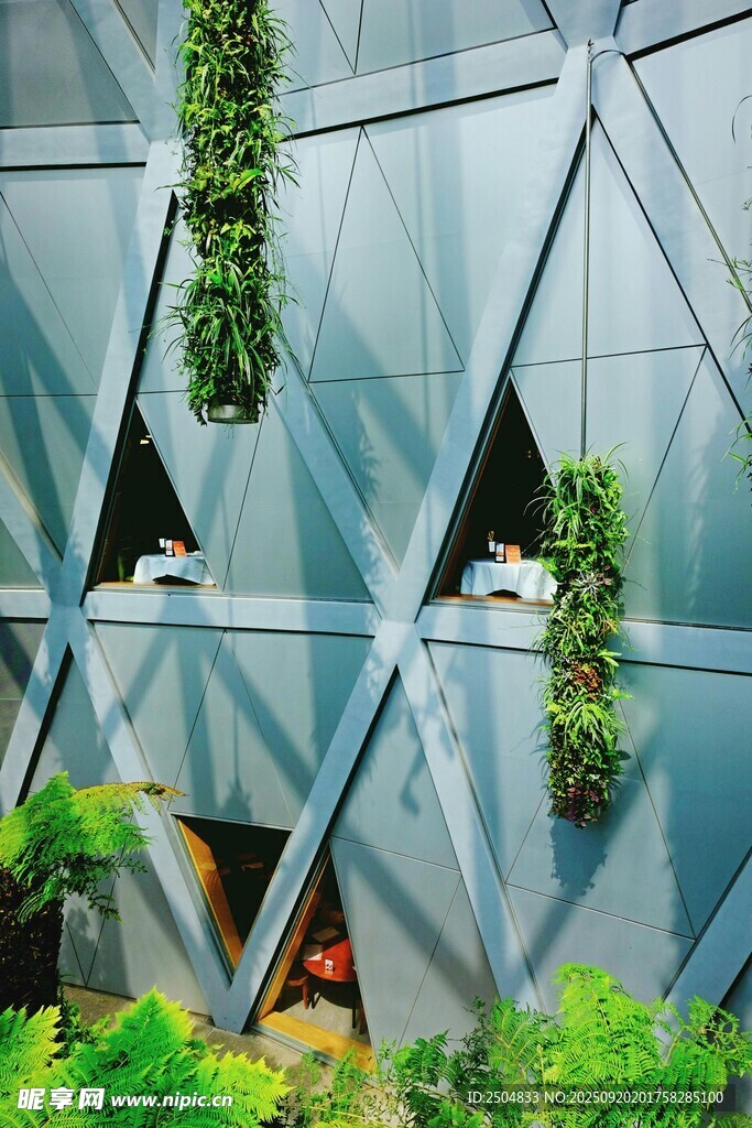 墙面绿植装饰 自然新格调