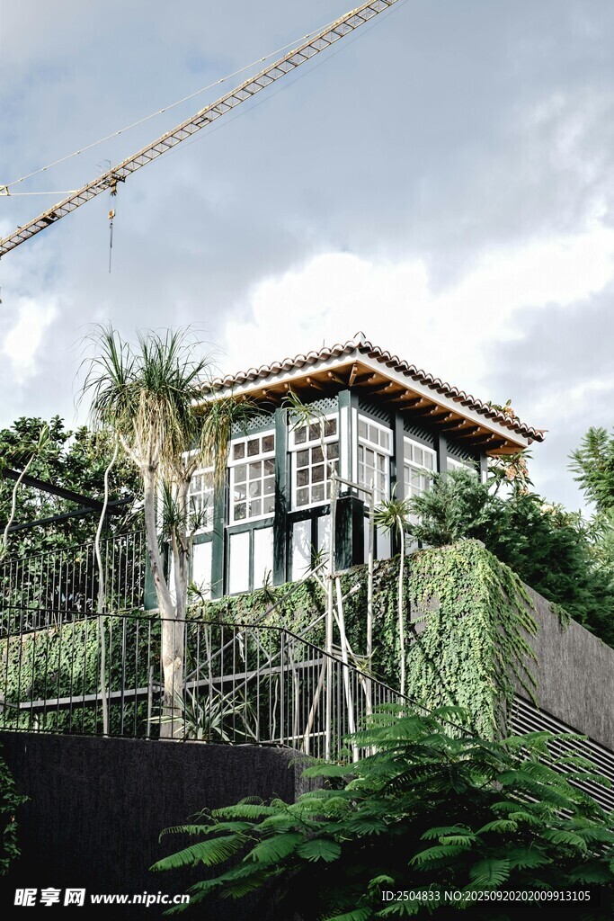 现代玻璃小屋隐于绿植间