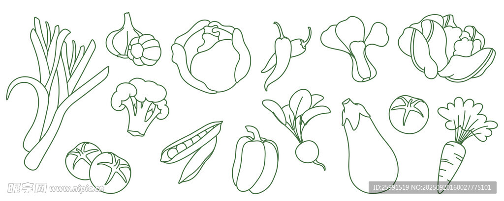 手绘蔬菜线条画