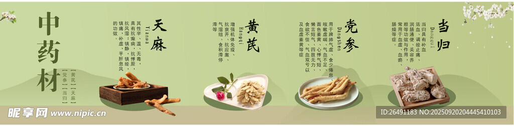 中药材单品海报展板清新底色