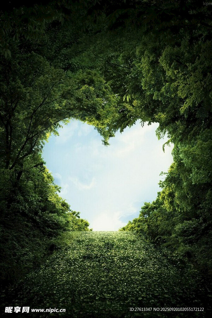 心形绿植洞见蓝天美景