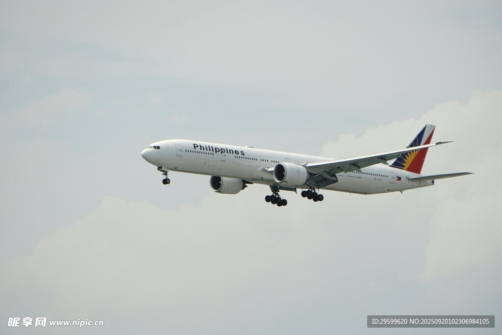 飞机空中飞行画面