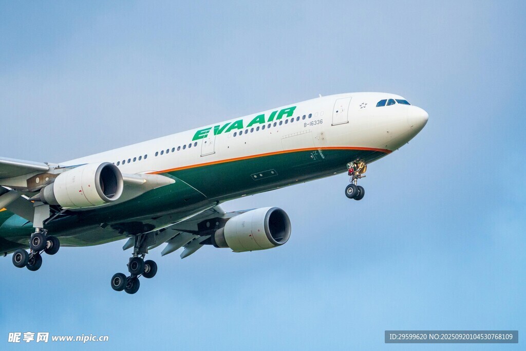 空中飞行的爱尔兰航空飞机