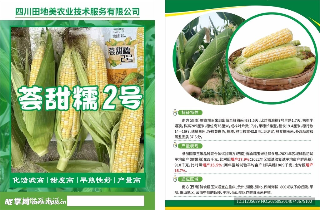 玉米种子介绍宣传彩页