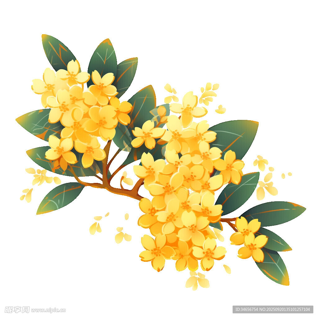 桂花枝上绽金黄花朵