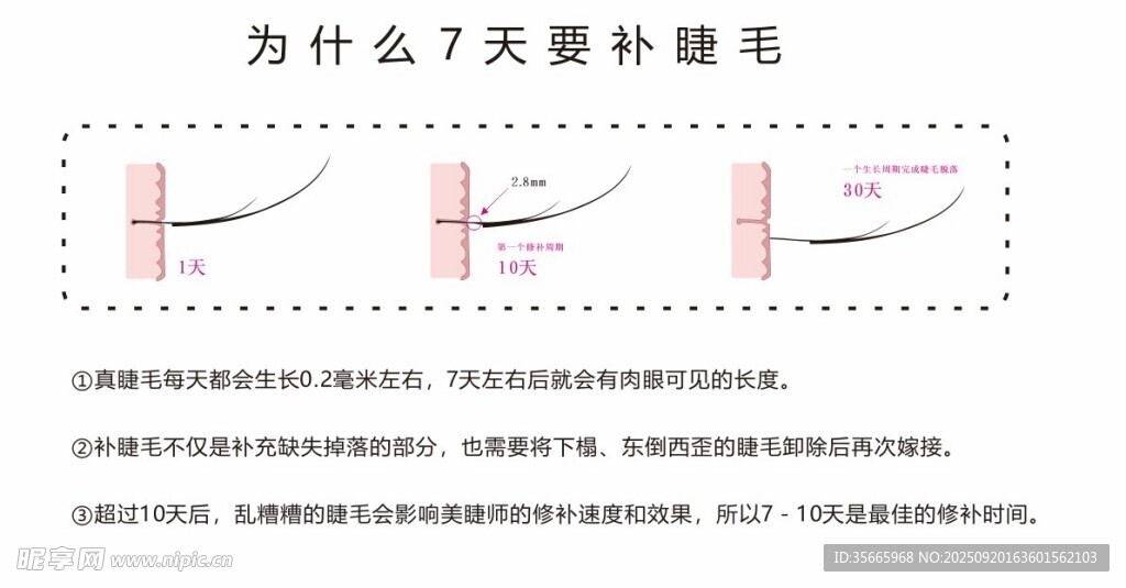 为什么要在7到10天内补睫毛