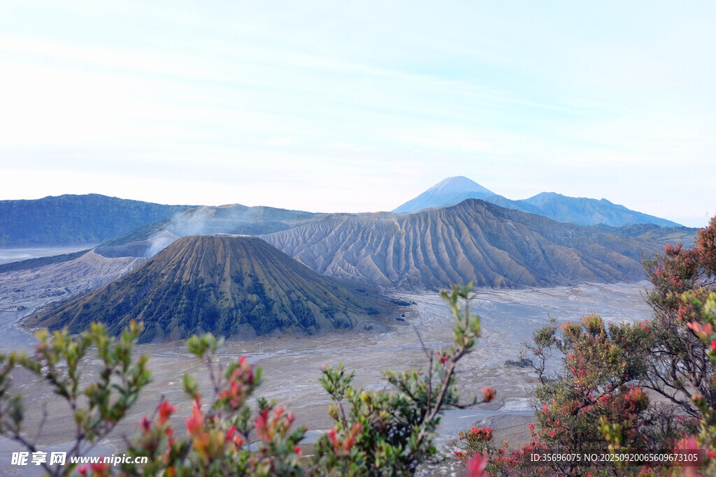 壮丽火山景观与绚烂花卉